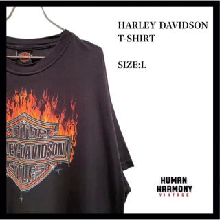 ハーレーダビッドソン(Harley Davidson)のHARLEY DAVIDSON ハーレーダビッドソン　Tシャツ 半袖　古着(Tシャツ/カットソー(半袖/袖なし))