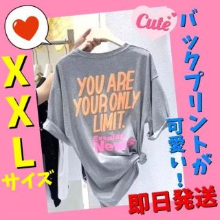 半袖Tシャツ　ビッグロゴ　夏　レディース　メンズ　グレー　大きい　可愛い　XXL(Tシャツ(半袖/袖なし))