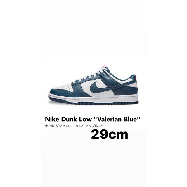 Nike Dunk Low Valerian Blue 29cm