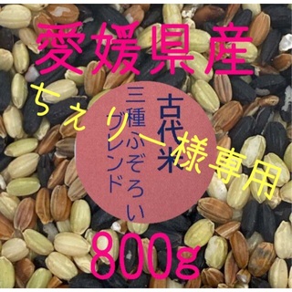 ちぇりー様専用　古代米3種ふぞろいブレンド　愛媛県産　800ｇ(米/穀物)