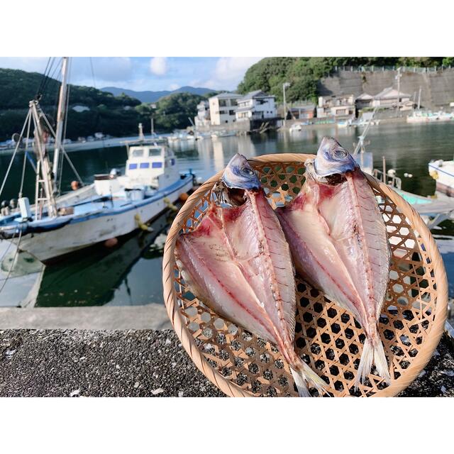 アジ開き12枚　おつまみに♪ 食品/飲料/酒の食品(魚介)の商品写真