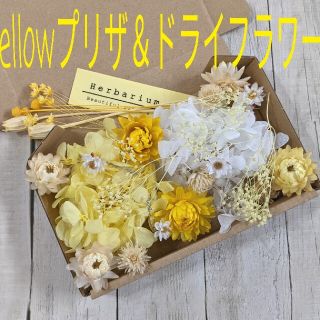 Yellowプリザ＆ドライフラワー☆花材セット(ドライフラワー)