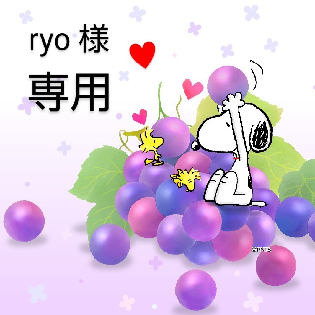 がとうござ 〖 ryo様 〗 専用です♥ サイコロ - www.theapartments.co.uk