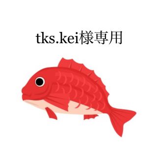 タイラバ   タングステン　tks.kei様専用(ルアー用品)