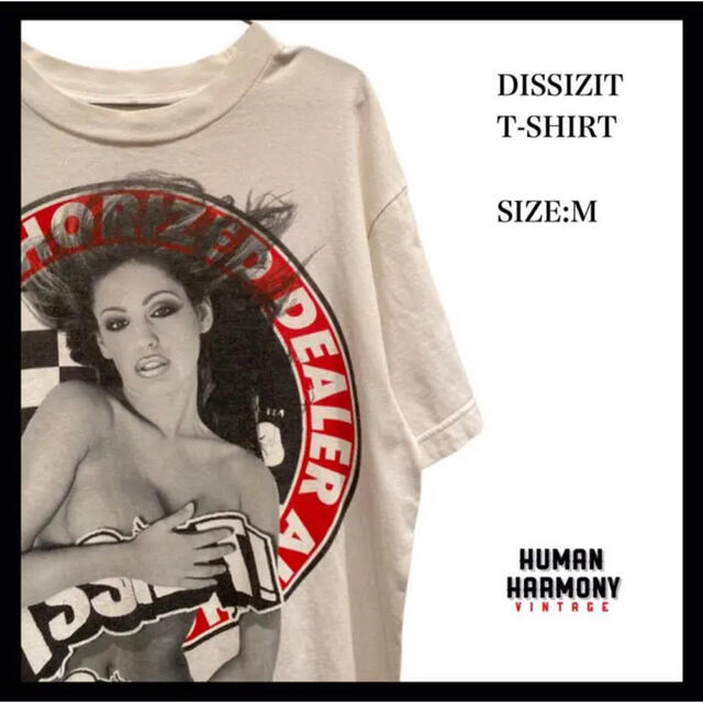 DISSIZIT(ディスイズイット)のDISSIZIT ディスイズイット　Tシャツ 古着　オーバーサイズ　ゆるだぼ メンズのトップス(Tシャツ/カットソー(半袖/袖なし))の商品写真