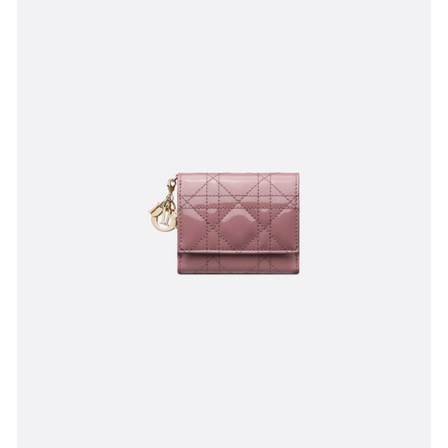 ポイントキャンペーン中 専用ページ Dior財布 www.chilai.com.tr