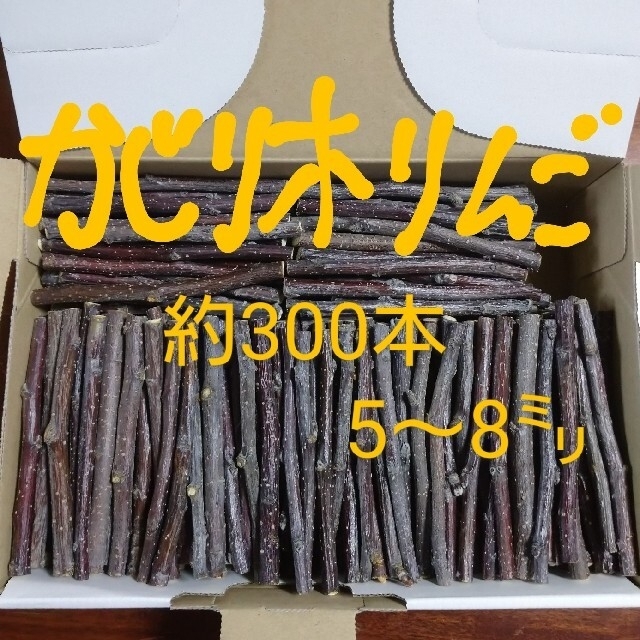 かじり木りんご 300本 その他のペット用品(小動物)の商品写真