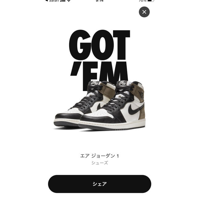 AIR JORDAN 1 dark moka 26cmスニーカー