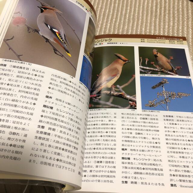 北海道野鳥図鑑 新訂 エンタメ/ホビーの本(趣味/スポーツ/実用)の商品写真