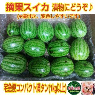 西瓜の匠 摘果スイカ1kg(日指定不可)(フルーツ)