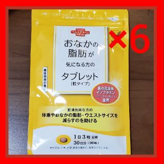 タイショウセイヤク(大正製薬)の大正製薬　おなかの脂肪が気になる方のタブレット（粒タイプ）　90粒入x6袋(ダイエット食品)