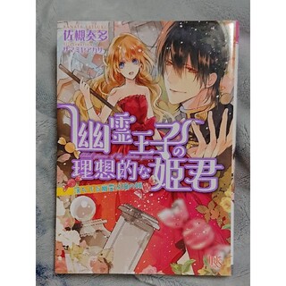 幽霊王子の理想的な姫君 : 落ちてる幽霊は俺の嫁(文学/小説)