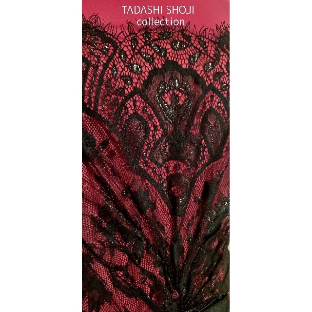 TADASHI SHOJI(タダシショウジ)のタダシ ショージ【TADASHI SHOJI】ワンピース/レース・ベルト付き 4 レディースのワンピース(ひざ丈ワンピース)の商品写真