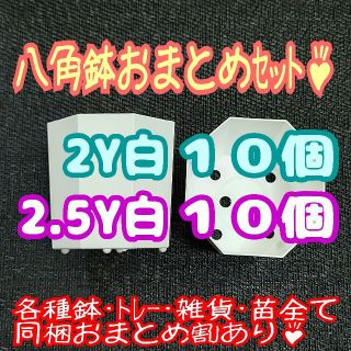 カネヤ【2Y･2.5Y】八角鉢 白 各10個 プラ鉢スリット鉢プレステラ多肉植物(プランター)