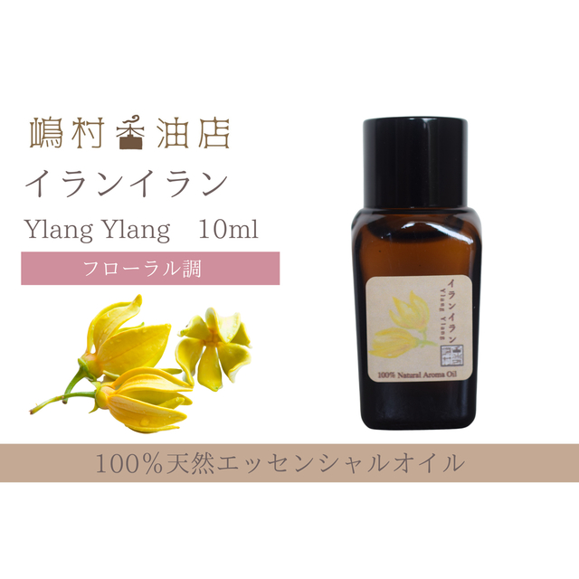 国産ヒノキイランイラン スイートマジョラム  フランキンセンス 10ml  精油