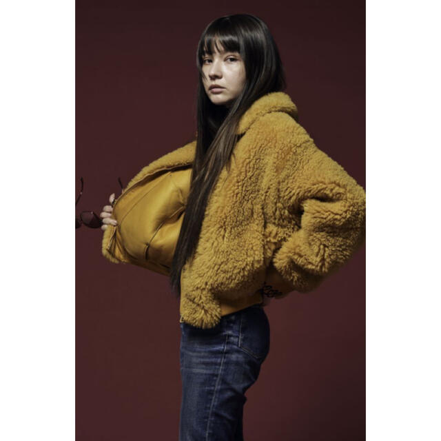 FENDI(フェンディ)の120万 新品未使用 FENDI shearling jacket FF柄  レディースのジャケット/アウター(毛皮/ファーコート)の商品写真