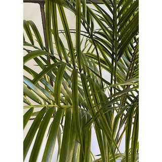 光触媒 人工観葉植物 ウォールグリーン フェイク フラワー 室外用