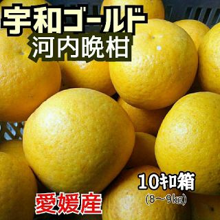 【今季最終】愛媛産☆河内晩柑(宇和ゴールド)☆家庭用 10ｷﾛ箱(フルーツ)