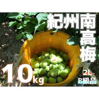 紀州南高梅　2L 10kg B級品　2級品　10キロ　青梅(フルーツ)