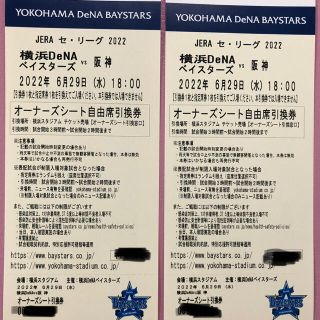 ヨコハマディーエヌエーベイスターズ(横浜DeNAベイスターズ)の横浜ベイスターズ　観戦ペアチケット(野球)