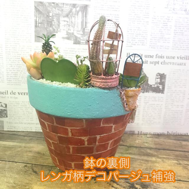 ハンドメイド多肉植物の寄せ植え　割れ鉢(Fairy’s Garben)