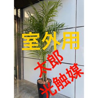 光触媒 人工観葉植物 ウォールグリーン フェイク フラワー 室外用