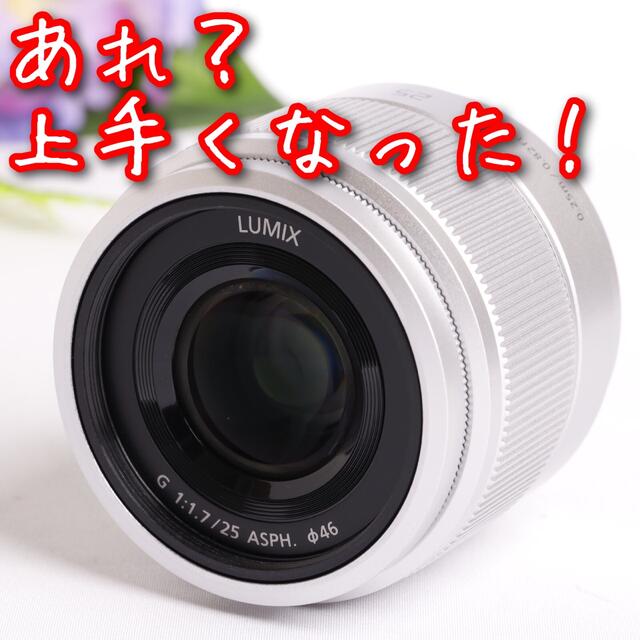 パナソニックLUMIX G 25mm F1.7⭐️人気の単焦点レンズ⭐️極上美品