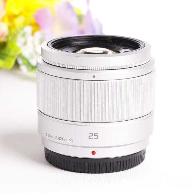 パナソニックLUMIX G 25mm F1.7⭐️人気の単焦点レンズ⭐️極上美品