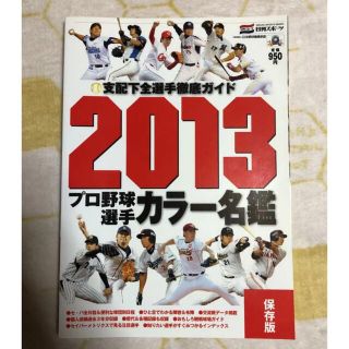 プロ野球選手カラー名鑑 2013 保存版(趣味/スポーツ/実用)