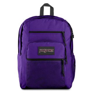 ジャンスポーツ(JANSPORT)のJANSPORT (リュック ジャンスポーツ )紫 大容量(リュック/バックパック)