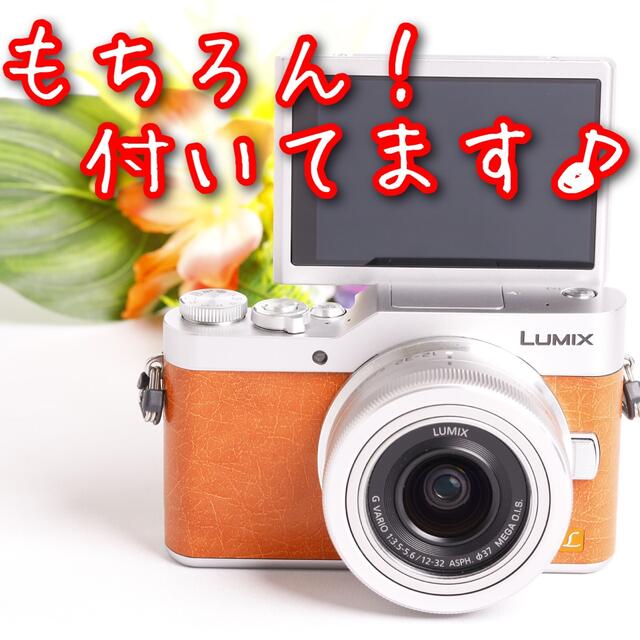 パナソニック LUMIX GF1  12-32レンズつき