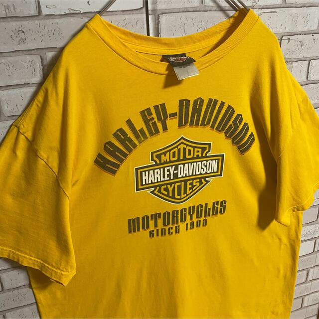 【超定番デザイン】パタゴニア★ビッグロゴ入りTシャツ バックロゴ　ゆるだぼ