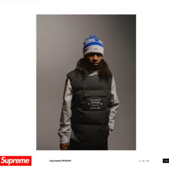 Supreme(シュプリーム)のsupreme wtaps Tactical Down Vest Mサイズ メンズのジャケット/アウター(ダウンベスト)の商品写真