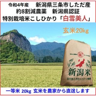 新米　玄米20kg 新潟県三条市旧下田村産　減農薬特別栽培米コシヒカリ　白雪美人(米/穀物)