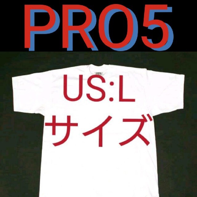 PRO CLUB(プロクラブ)の白 L 新品 PRO5 プロファイブ 無地 Tシャツ ホワイト ビッグサイズ メンズのトップス(Tシャツ/カットソー(半袖/袖なし))の商品写真