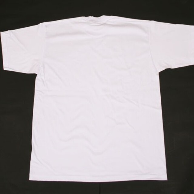 PRO CLUB(プロクラブ)の白 L 新品 PRO5 プロファイブ 無地 Tシャツ ホワイト ビッグサイズ メンズのトップス(Tシャツ/カットソー(半袖/袖なし))の商品写真