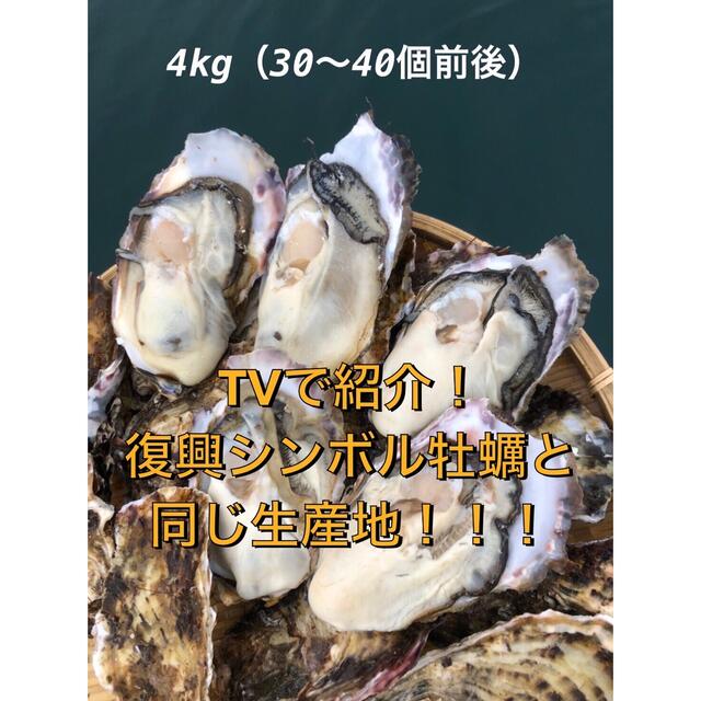 ＜1番人気限定価格＞三陸 牡蠣 殻付きプリプリ生牡蠣　生食可能　4kg 産地直送