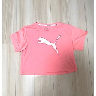 プーマ(PUMA)のプーマ PUMA 半袖(Tシャツ/カットソー)