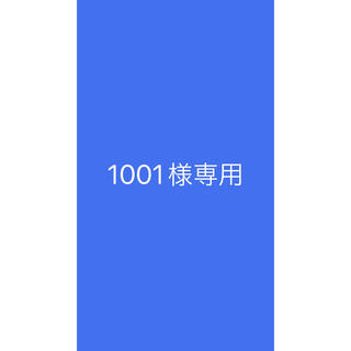 1001様専用(その他)