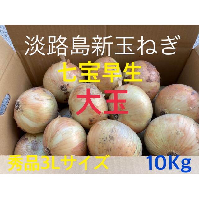 ⭕️秀品3Lサイズ10Kg⭕️淡路島新玉ねぎ たまねぎ 玉葱の通販 by 淡路島☆玉ねぎ｜ラクマ