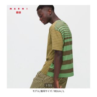 ユニクロ(UNIQLO)のuniqlo marni ボーダークルーネックTシャツ グリーンS 新品ダグ付き(Tシャツ/カットソー(半袖/袖なし))