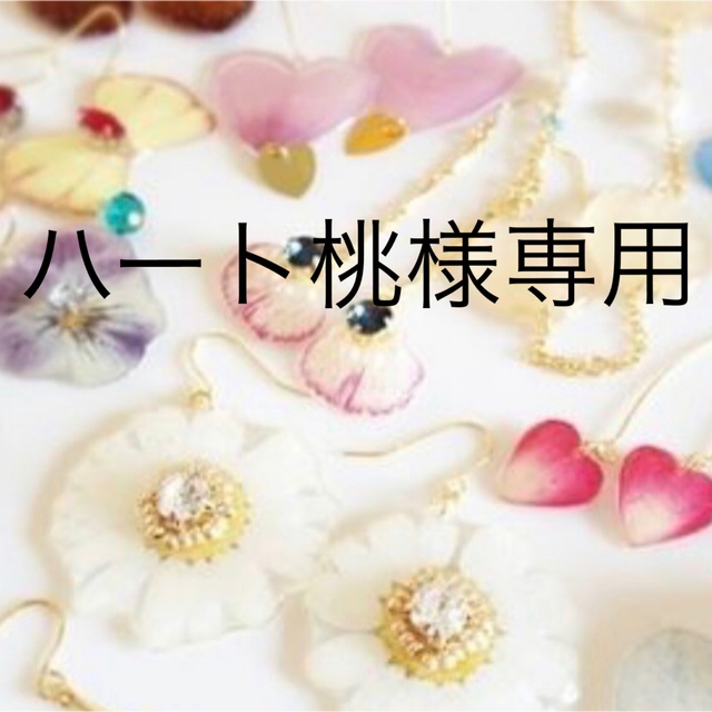 ☆ワミレス ビオセル バイタライザー α II プレ付き☆-eastgate.mk