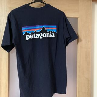 パタゴニア(patagonia)のパタゴニアTシャツ　ユナイテッドアローズ(Tシャツ/カットソー(半袖/袖なし))