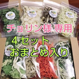 5種類の乾燥野菜セット４セットおまとめ入り(野菜)