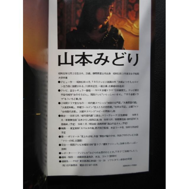 山本みどり写真集 ビーイング出版社設立記念作品 マイク岡田特撮 山本みどり写真集 ビーイング出版社設立記念作品 マイク岡田特撮