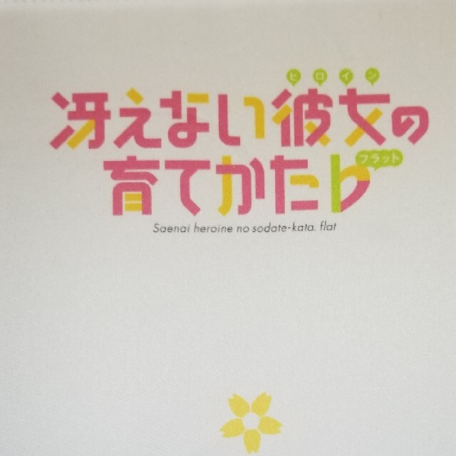 冴えない彼女の育てかた 霞ヶ丘詩羽 等身大タペストリー 水着 女子高生