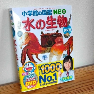 ショウガクカン(小学館)の小学館の図鑑　NEO 水の生物　DVDなし(その他)