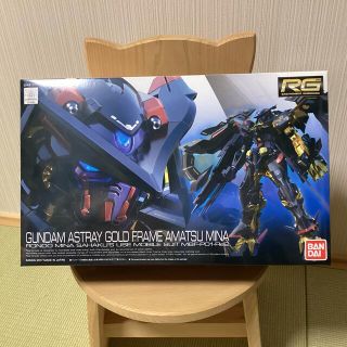 バンダイ(BANDAI)のバンダイ RG 1/144 ガンダムアストレイ ゴールドフレーム天ミナ (模型/プラモデル)