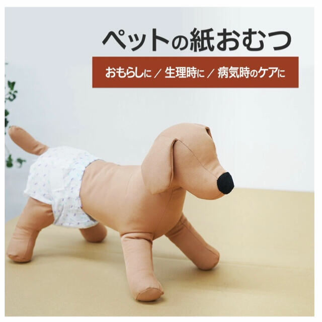 ペットの紙おむつ その他のペット用品(犬)の商品写真