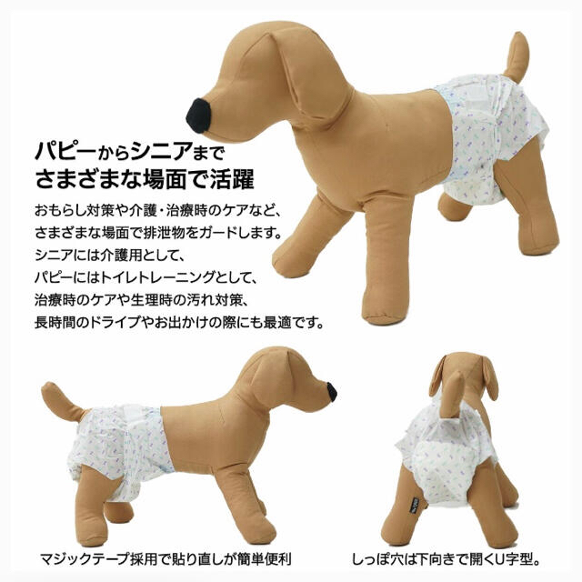 ペットの紙おむつ その他のペット用品(犬)の商品写真